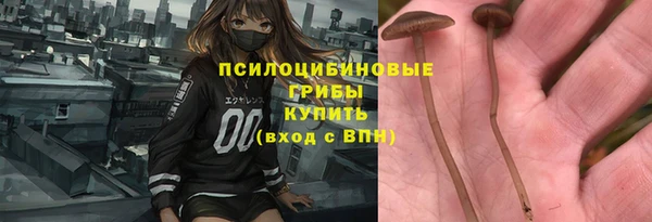 каннабис Богородицк