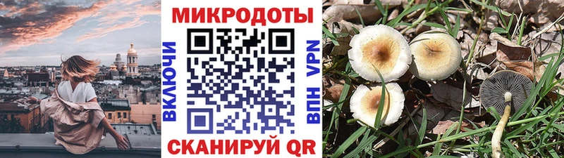 Галлюциногенные грибы мухоморы  ссылка на мегу маркетплейс  Духовщина  купить  сайты 